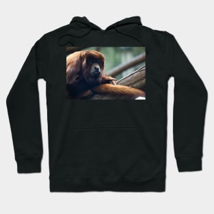 monkey - portrait Hoodie